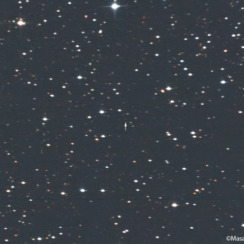 スコッティ彗星 ( 244P ) : 2023/01/21