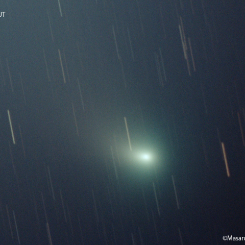 ズィーティーエフ彗星：2023/02/08