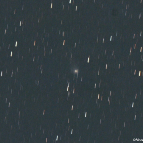 ズィーティーエフ彗星 (C/2020V2)：2023/02/09