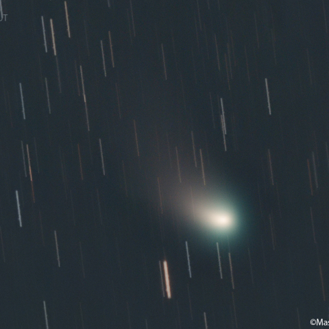 ズィーティーエフ彗星：2023/02/14