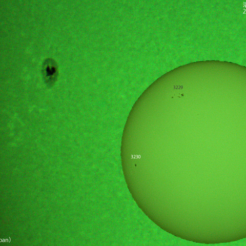 活動領域 3230：2023/02/20