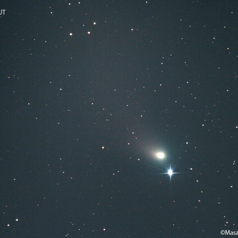 ズィーティーエフ彗星：2023/02/17