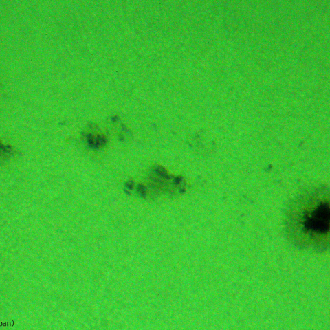 活動領域 3242：2023/03/08