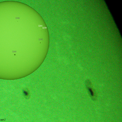 活動領域 3239,3241：2023/03/11
