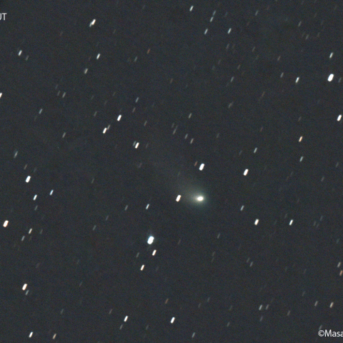 ズィーティーエフ彗星：2023/03/14