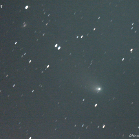 ズィーティーエフ彗星：2023/03/19