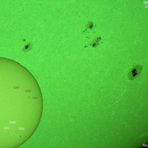 活動領域 3256,3257,3259：2023/03/28