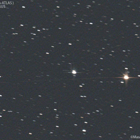 レモン-アトラス彗星( C/2022A3 ):2023/03/19