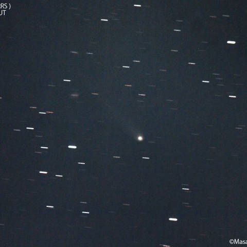 パンスターズ彗星( C/2019U5 )：2023/03/20
