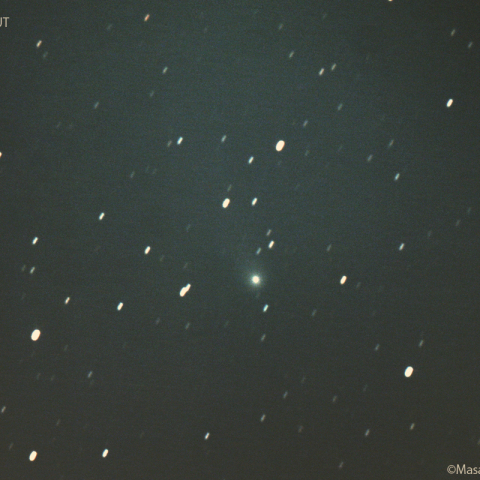 ズィーティーエフ彗星 (C/2020V2)：2023/03/19