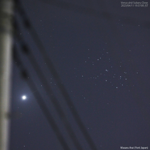 金星とプレアデス星団の接近：2023/04/11