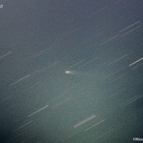 パンスターズ彗星( 364P )：2023/04/18