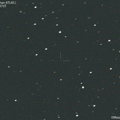 紫金山-アトラス彗星( C/2023 A3 )：2023/04/18