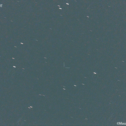 ペトリュー彗星( 185P ):2023/05/17