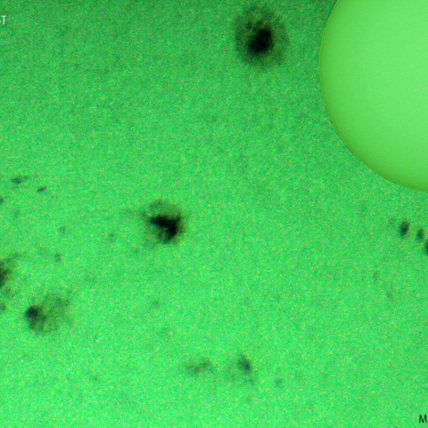 活動領域 3302,3305：2023/05/17