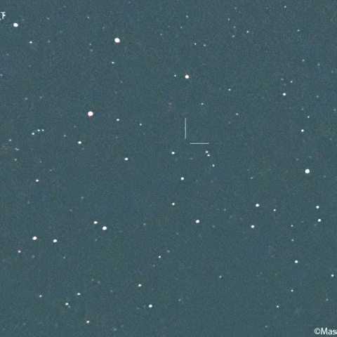 ヴィルト第4彗星 ( 116P ):2023/05/17