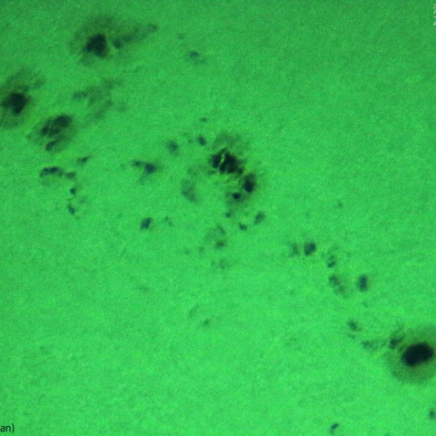 活動領域 3311：2023/05/22