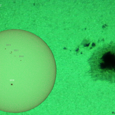 活動領域 3310：2023/05/24