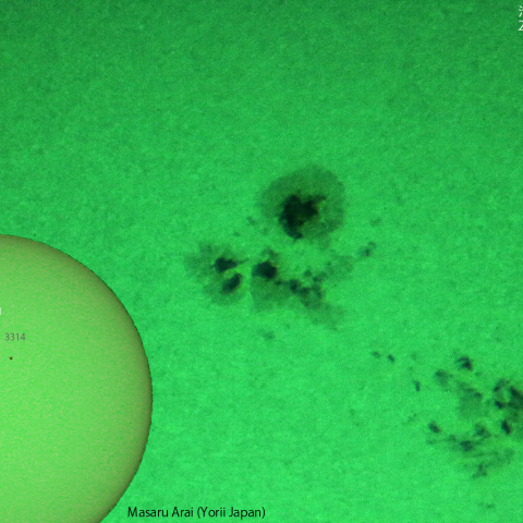 活動領域 3311,3313：2023/05/24