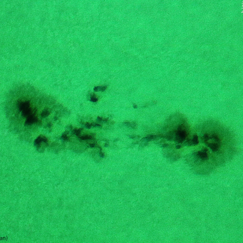 活動領域 3315：2023/05/27