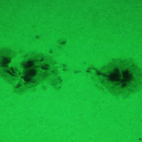 活動領域 3315：2023/05/28