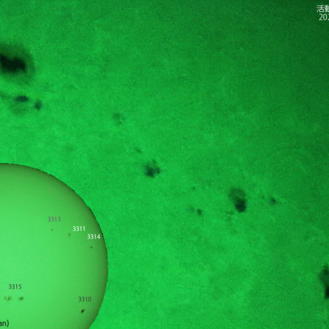 活動領域 3311,3314：2023/05/28