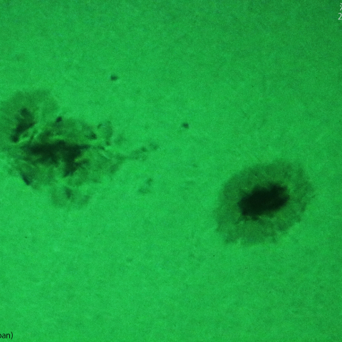 活動領域 3315：2023/05/30