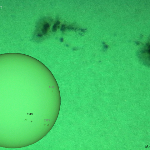 活動領域 3319：2023/06/01