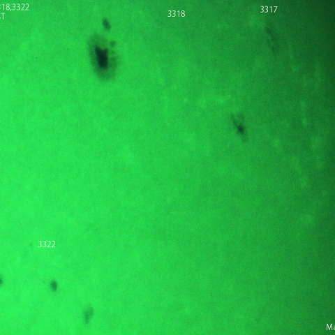 活動領域 3311,3317,3318,3322：2023/06/01