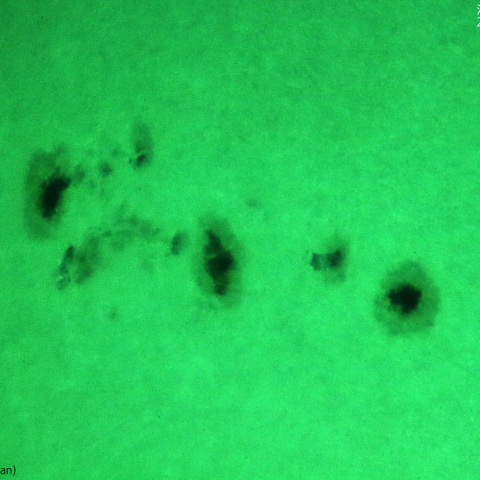 活動領域 3323：2023/06/03