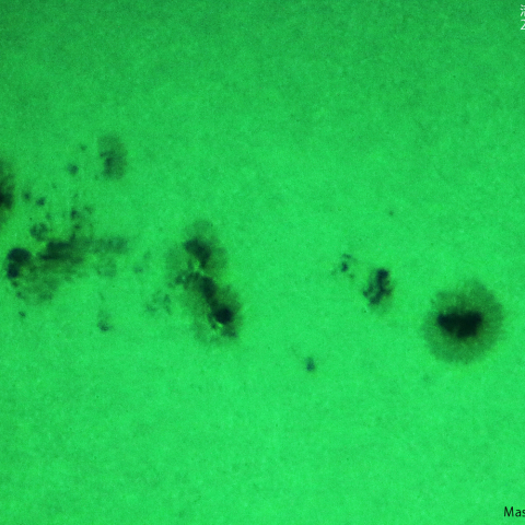 活動領域 3323：2023/06/04