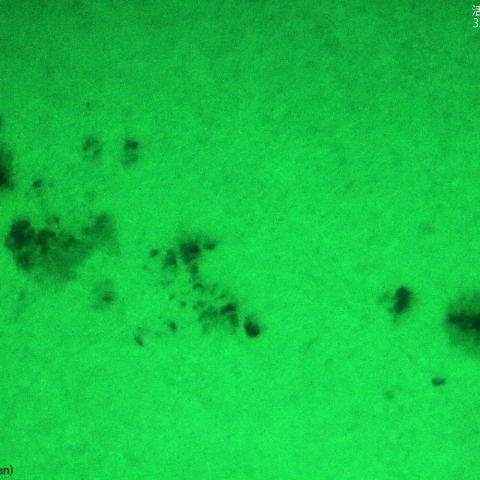 活動領域 3323：2023/06/05