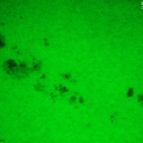 活動領域 3323：2023/06/06