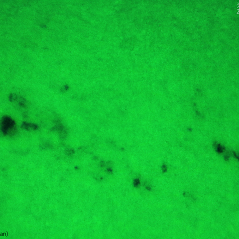 活動領域 3323：2023/06/07