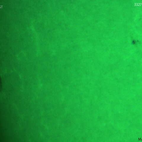 活動領域 3327,3331：2023/06/07