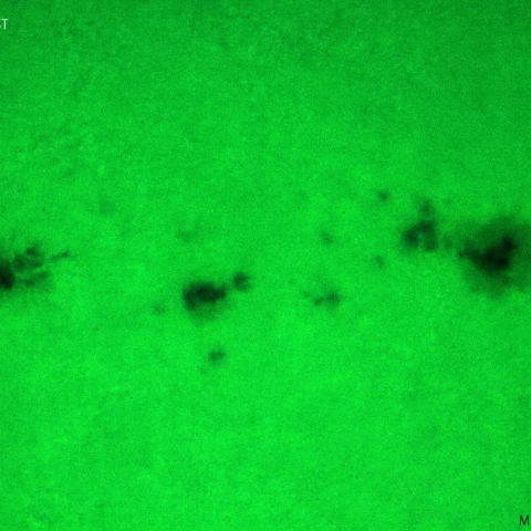 活動領域 3333：2023/06/18