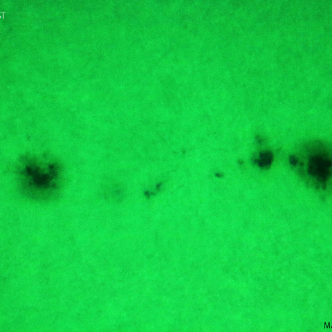 活動領域 3333：2023/06/17