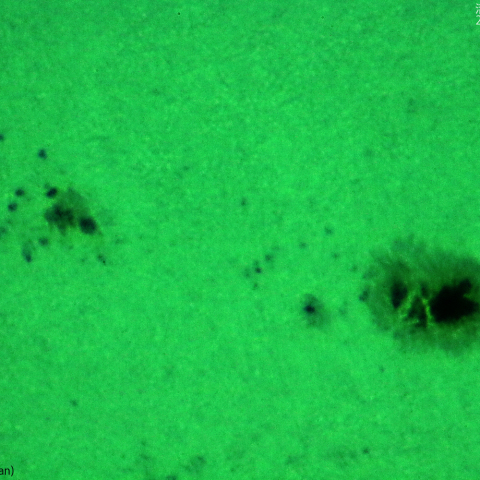 活動領域 3335：2023/06/19