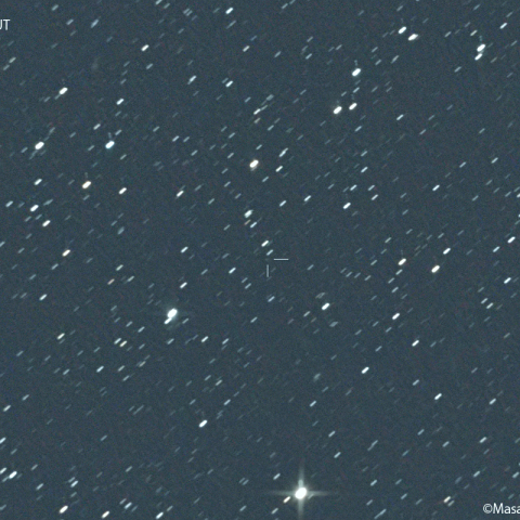 ポン-ブルックス彗星 ( 12P )：2023/06/17