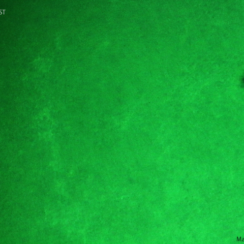 活動領域3351とプラージュ：2023/06/25