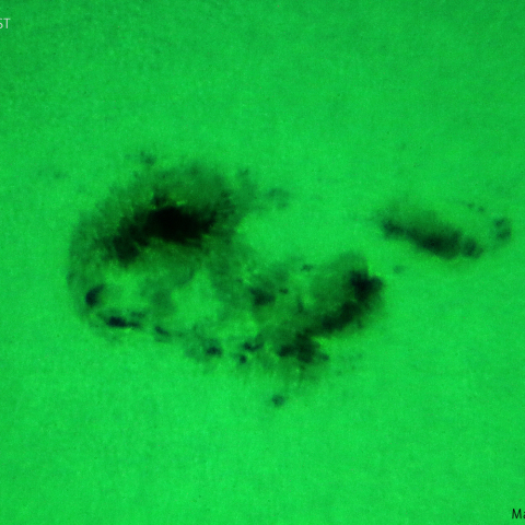 活動領域3354：2023/06/28