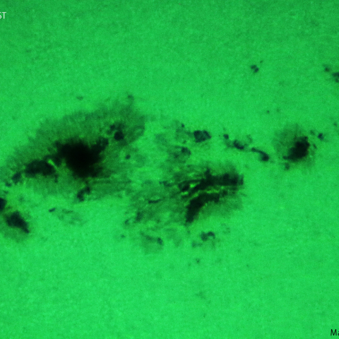 活動領域3354：2023/06/29