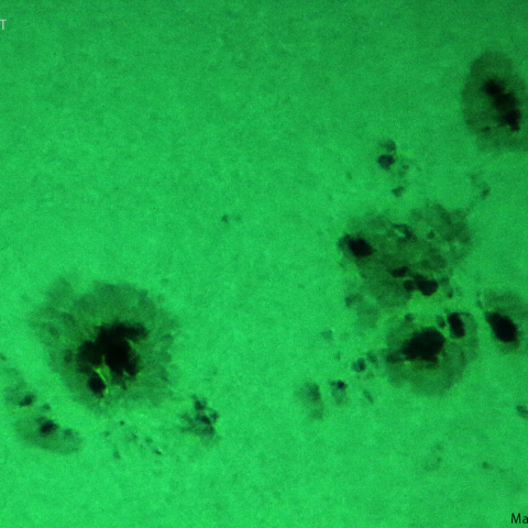 活動領域 3354：2023/07/02