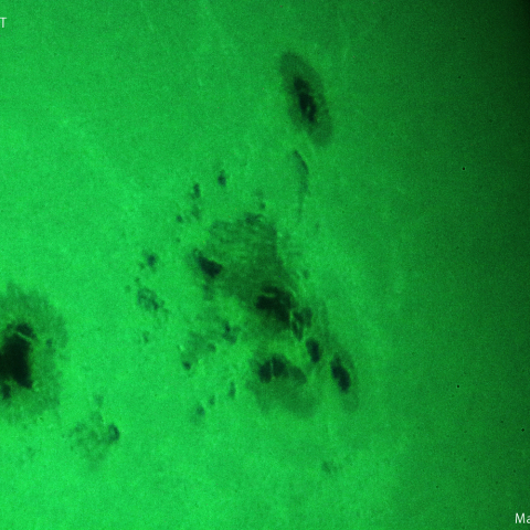 活動領域3354：2023/07/03