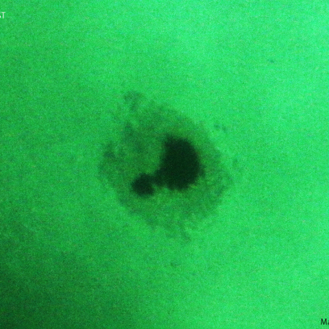 活動領域 3363：2023/07/09