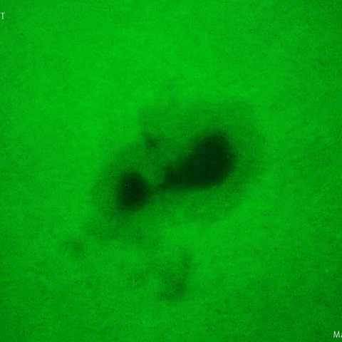 活動領域 3363：2023/07/13