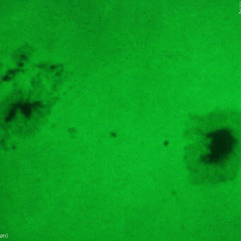 活動領域 3372：2023/07/15