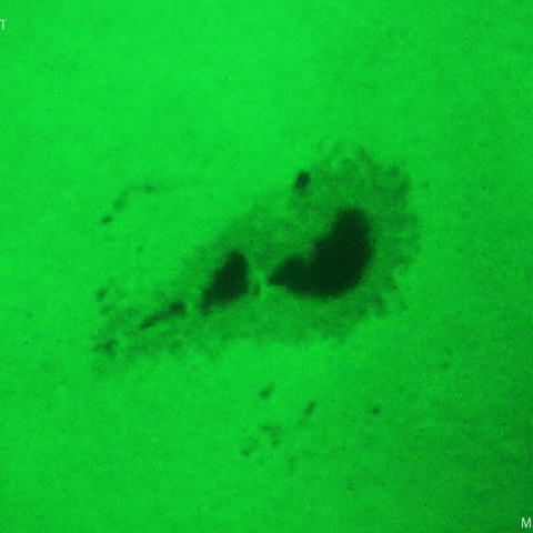 活動領域 3363：2023/07/15