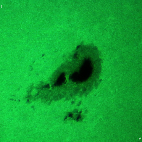 活動領域 3363：2023/07/16