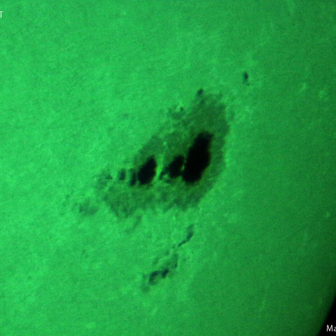活動領域 3363：2023/07/17